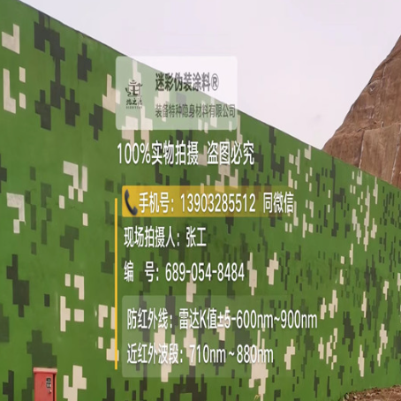 丰满专业承接园区围墙迷彩喷涂、